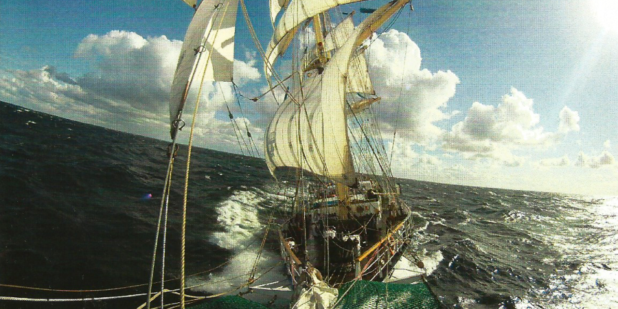 Głowa zbrasowana image